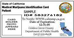 sample med marijuana card